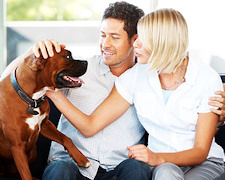 Dates for Dog Lovers