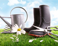 Spring Garden Tips